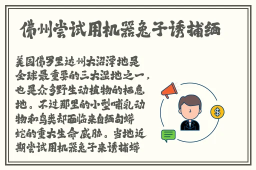 可乐2金银花露水笔趣阁